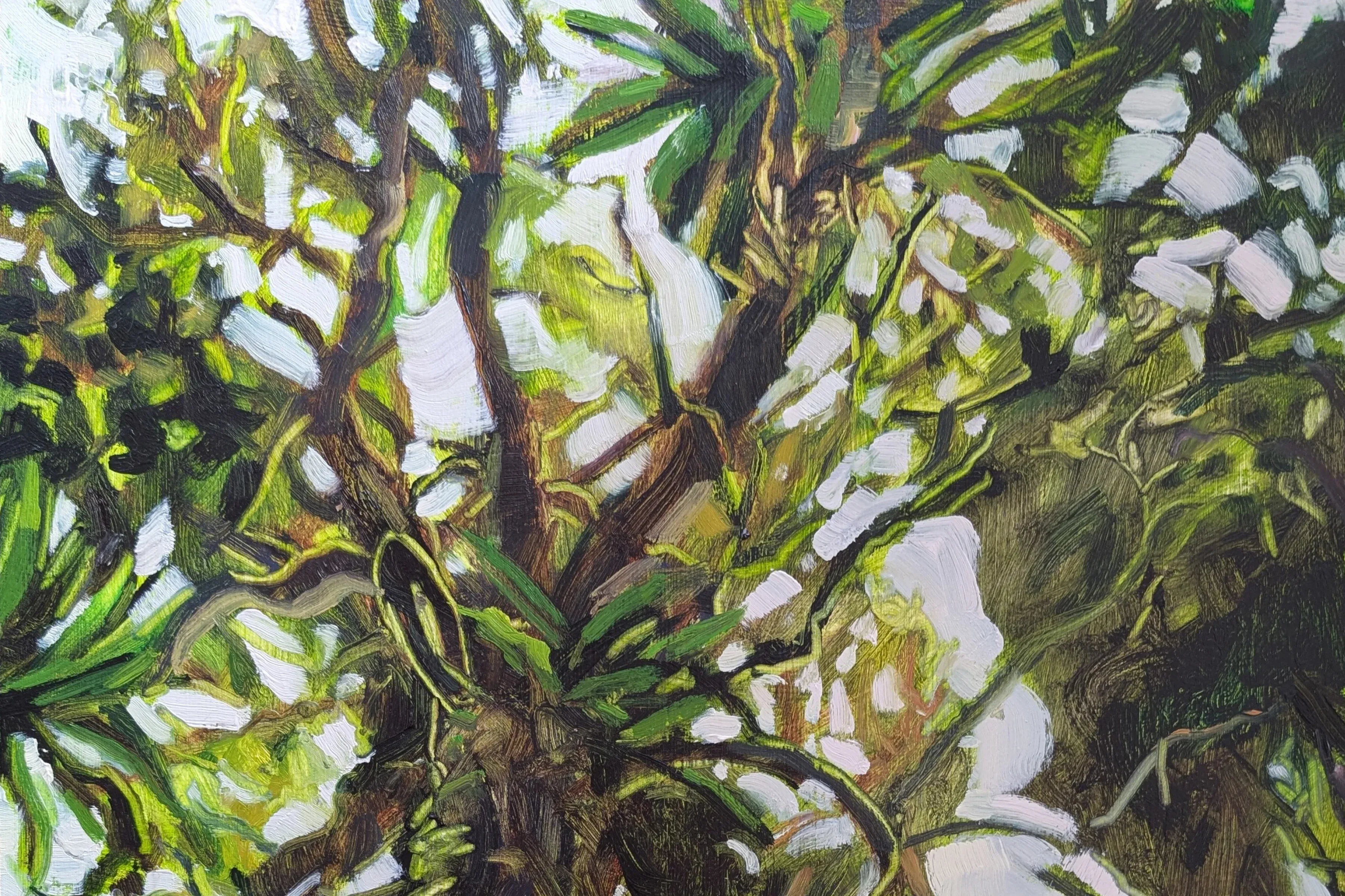 Little Wide Open