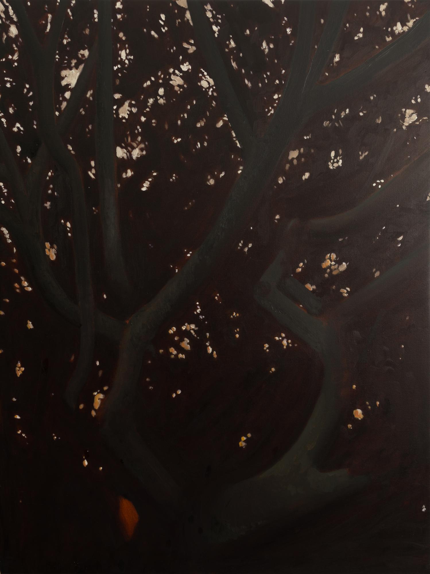 Canopy
